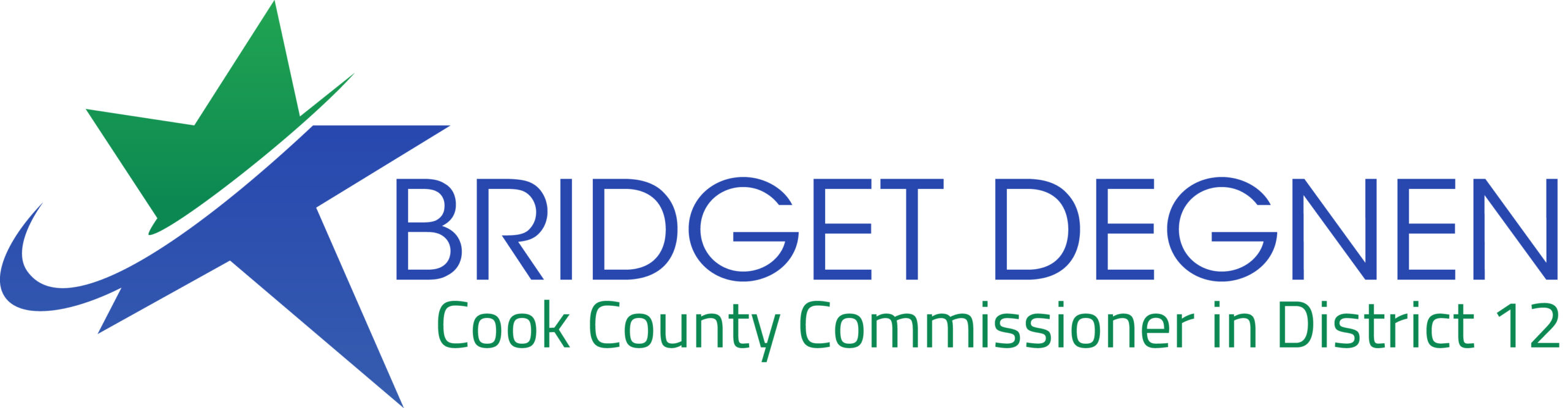 Cook County Commissioner Bridget Degnen - 12th District